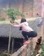 女贼 ，太猖狂了