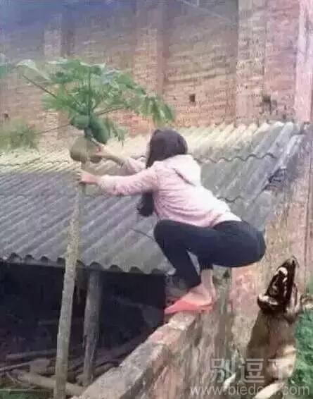 女贼 ,太猖狂了 女贼 ,太猖狂了