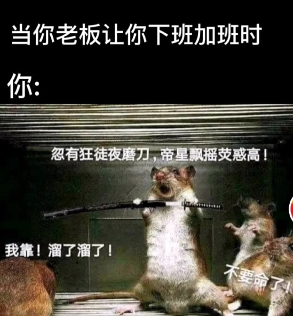轻松一刻:偷拍了整个宿舍的姐妹,男友竟然都想X? 轻松一刻:偷拍了整个宿舍的姐妹,男友竟然都想X?