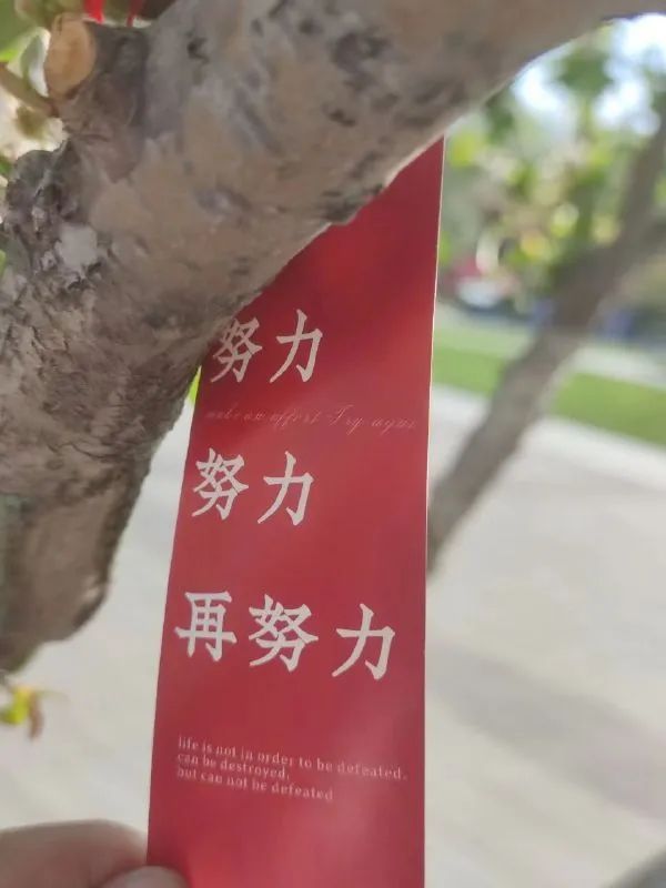 轻松一刻:偷拍了整个宿舍的姐妹,男友竟然都想X? 轻松一刻:偷拍了整个宿舍的姐妹,男友竟然都想X?