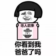 你看到我爸爸了吗