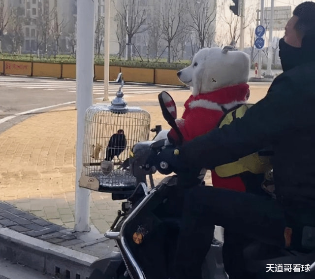 “第一次去女朋友家,墙上的字是什么意思?”哈哈哈信息量有点大 “第一次去女朋友家,墙上的字是什么意思?”哈哈哈信息量有点大