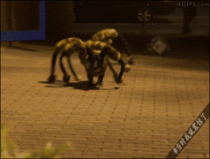 这造型会吓死人 这造型会吓死人