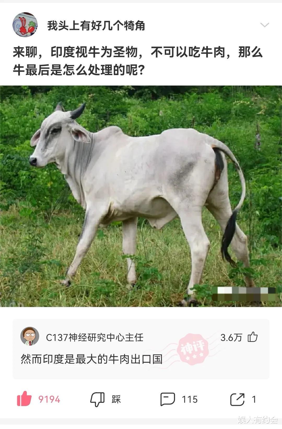 “和男朋友住主题酒店,很纳闷浴室里这东西是干啥用的?”哇哈哈哈~ “和男朋友住主题酒店,很纳闷浴室里这东西是干啥用的?”哇哈哈哈~