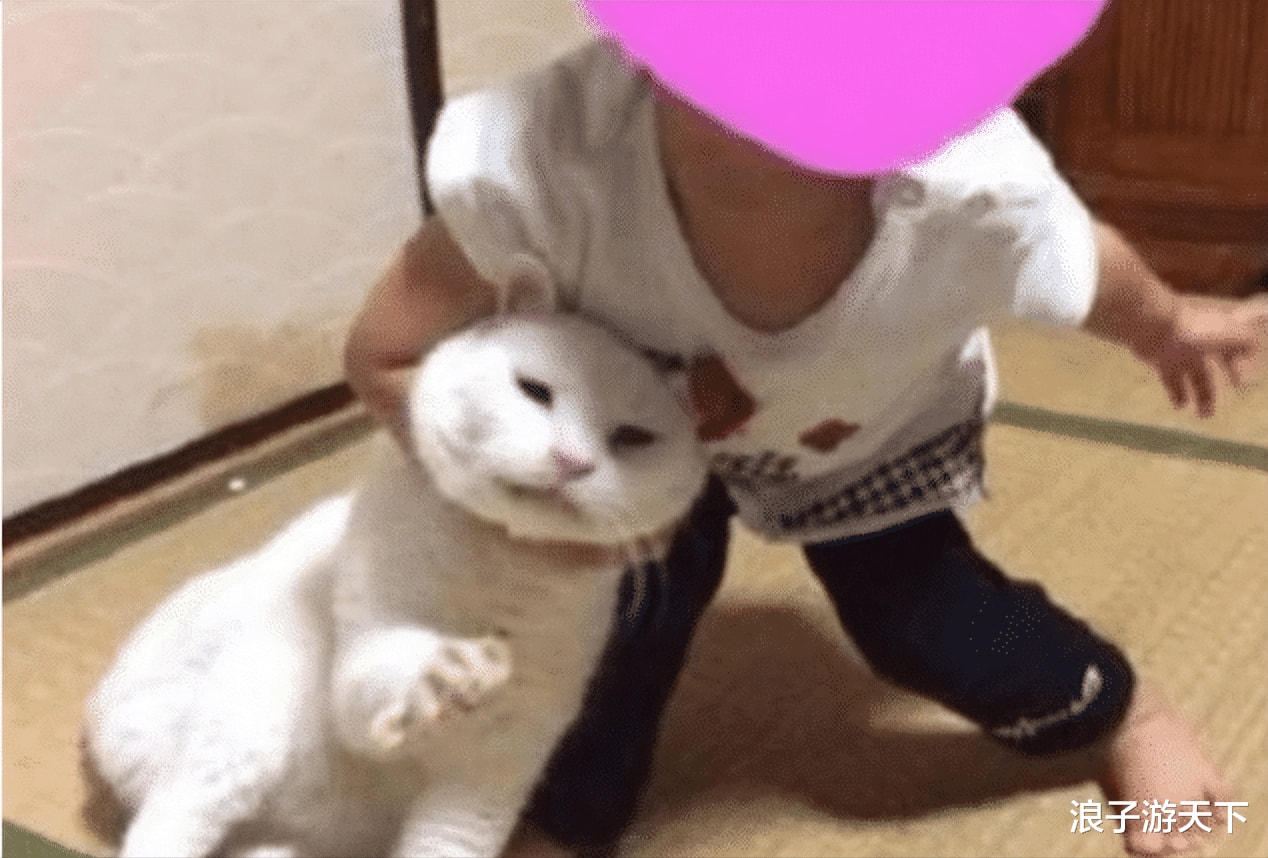 哥们离婚净身出户,他老婆突然约我,接盘侠不好当呀! 哥们离婚净身出户,他老婆突然约我,接盘侠不好当呀!