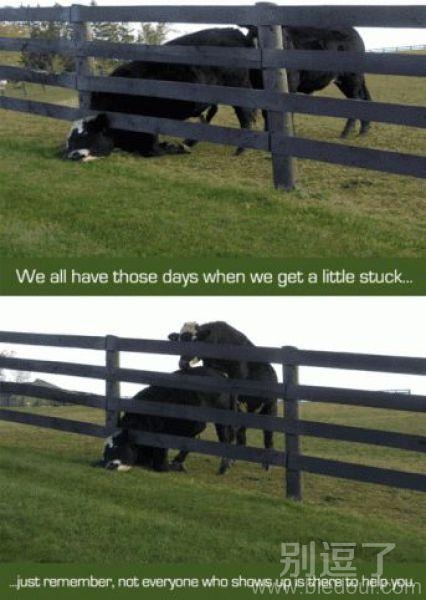 本来就够倒霉了，谁知