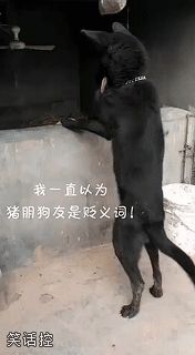 你见到你朋友的样子 你见到你朋友的样子