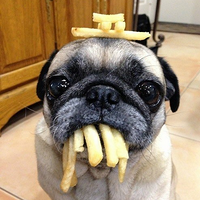 我过两个月要做你小三 我过两个月要做你小三