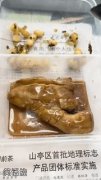 点鸡腿食堂阿姨给了一块姜图片