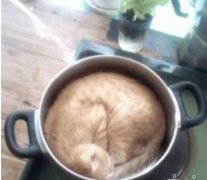 今儿晚上有吃的喽 今儿晚上有吃的喽