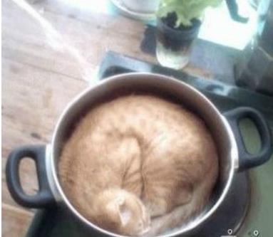 今儿晚上有吃的喽 今儿晚上有吃的喽