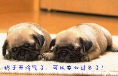 北上广城市北京已经开始了第二场大雪