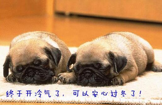 北上广城市北京已经开始了第二场大雪