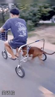 低碳出行
