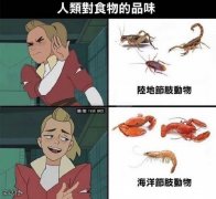 请允许我为你介绍：海蟑螂