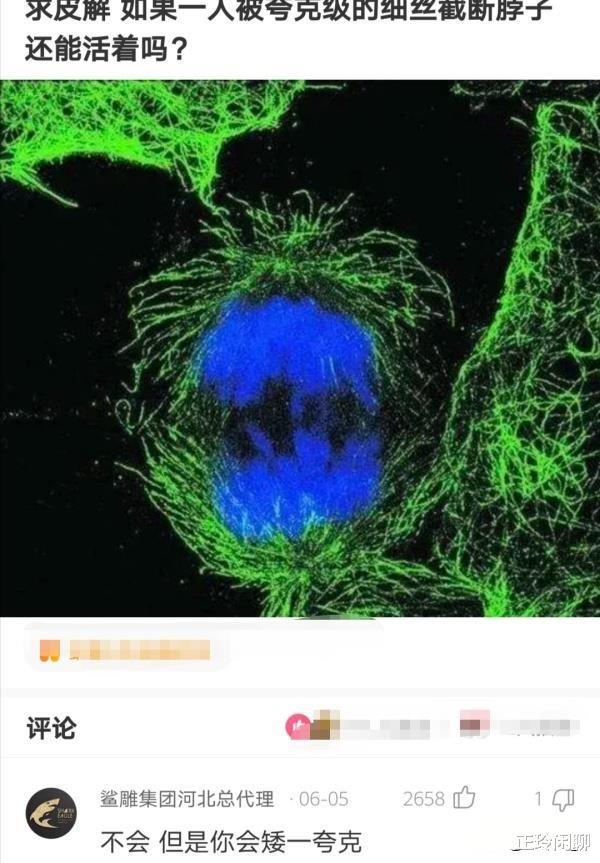 两个女生同时追我,左边成绩好右边家里有钱,我该追哪个哈哈哈 两个女生同时追我,左边成绩好右边家里有钱,我该追哪个哈哈哈