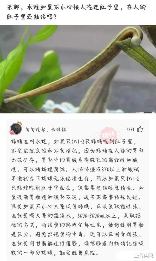 两个女生同时追我，左边成绩好右边家里有钱，我该追哪个哈哈哈