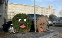 春天来了,该醒了 春天来了,该醒了