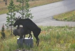 你搞错了吧，这都什么事啊