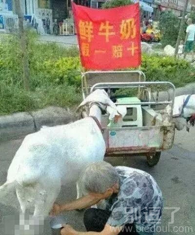 这老板不是得赔死呀