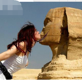 单身狗的危害 单身狗的危害