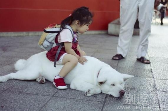 好委屈的汪星人。 好委屈的汪星人。