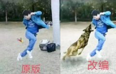 踢毽子变成了被狗追 踢毽子变成了被狗追