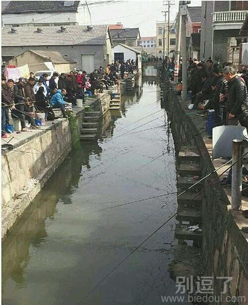 我们一起来钓鱼。。 我们一起来钓鱼。。