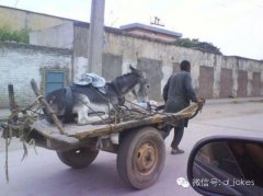 驴子很欣慰啊