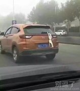 司机真是很有魄力呀