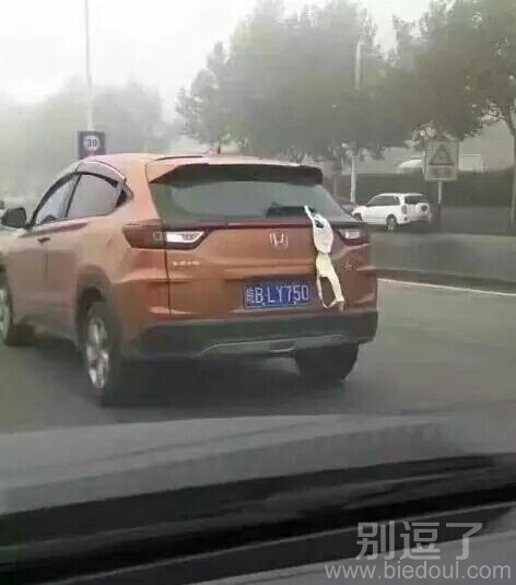 司机真是很有魄力呀 司机真是很有魄力呀