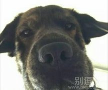 这个时候就比较尴尬
