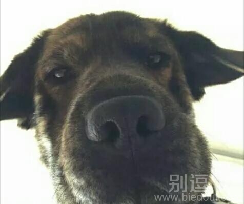 这个时候就比较尴尬 这个时候就比较尴尬
