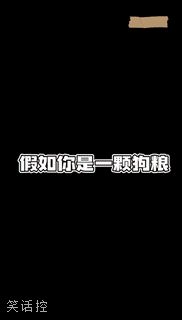 这大舌头湿乎乎的 这大舌头湿乎乎的
