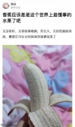 香蕉是不是世界上最懂事的水果