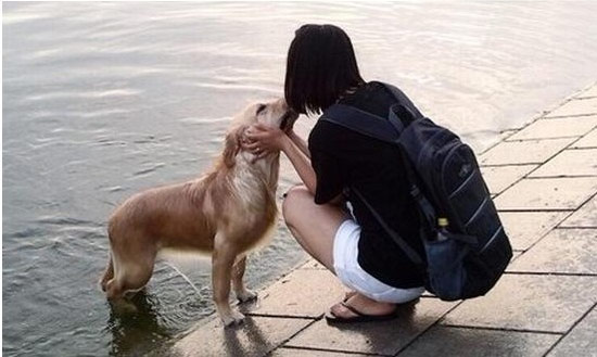 内涵图片与邪恶图片齐头并进。