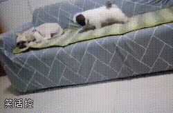 像极了吵架后的臭情侣