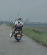 明明可以放在车上，却还要用手提着