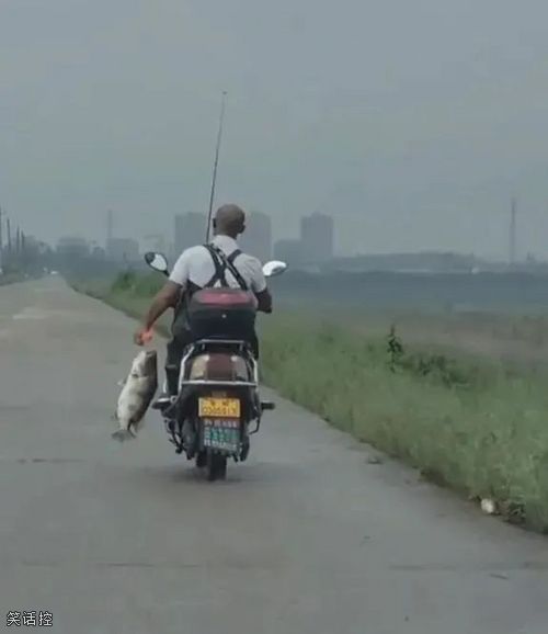 明明可以放在车上，却还要用手提着