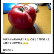 无奇不有买到了一个尴尬的西红柿