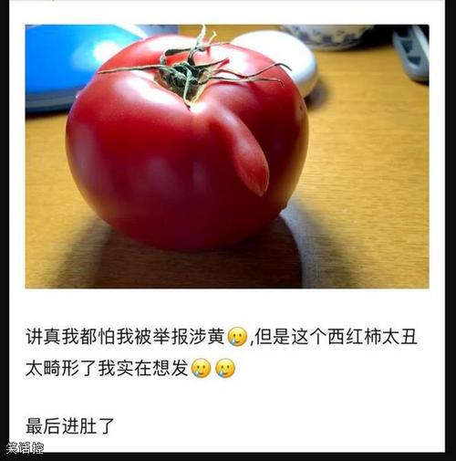 无奇不有买到了一个尴尬的西红柿 无奇不有买到了一个尴尬的西红柿