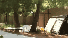 世上有什么可以拦住山羊的？