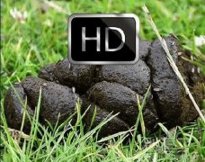 摄影师，这个就不用特写了吧！！！