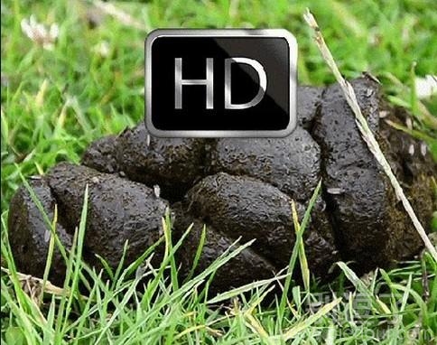 摄影师,这个就不用特写了吧!!! 摄影师,这个就不用特写了吧!!!