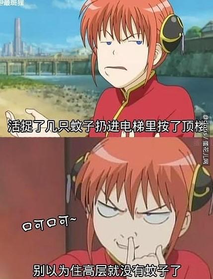 妹纸 你是有多恨顶楼的人 妹纸 你是有多恨顶楼的人