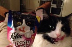 这个是我代言的哦