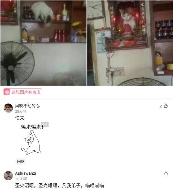 神回复:你们觉不觉得“曼”这个字很有女人味 神回复:你们觉不觉得“曼”这个字很有女人味