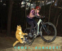我发现我跟错了主人呀