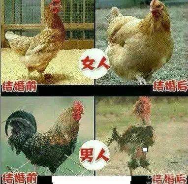男人女人结婚前后对比图片(多图) 男人女人结婚前后对比图片(多图)