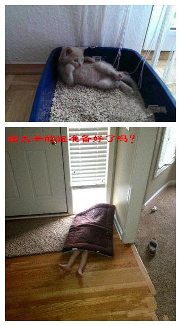 给大爷的妞准备好了吗? 给大爷的妞准备好了吗?